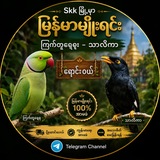 Telegram profile photo for မြန်မာ့ မျိုးရင်း ကြက်တူရွေး သာလိကာ အလှေမွေးဌက် ရောင်းဝယ်ရေး