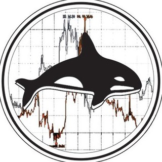 Telegram profile photo for WhaleCalls