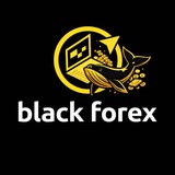 Telegram profile photo for 🐋 Black Forex📉📈🐋