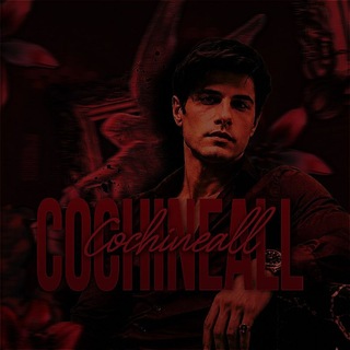 Telegram profile photo for ˚˖𓍢ִ໋🍷˚ COCHINEAL.