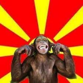 Telegram profile photo for Monkeydonians Online
