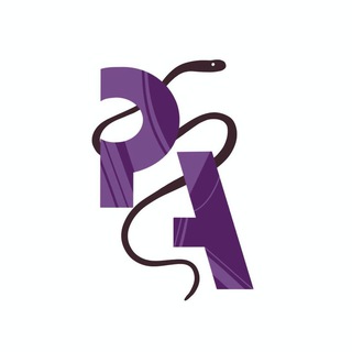 Telegram group profile photo for Python Academy – чат