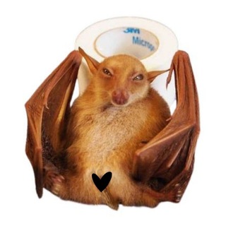 Telegram profile photo for ЛОТЕРЕЯ | РЕСТ | DDetherise