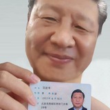 Telegram profile photo for 老柚cj