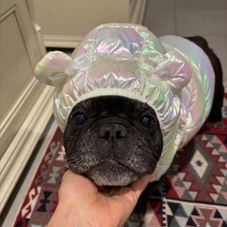 Telegram profile photo for Виктория Колосова и Роза с мороза.
