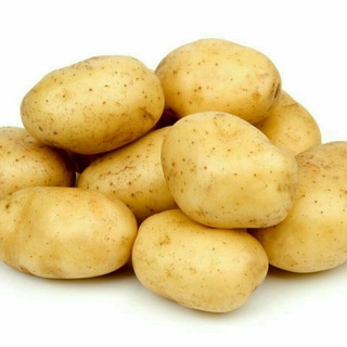 Telegram profile photo for سیب زمینی کاران