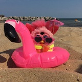 Telegram profile photo for Реклама в Малинке