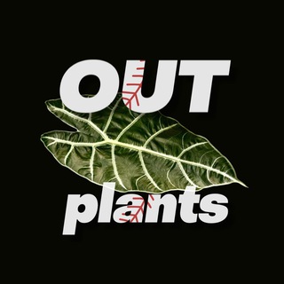 Telegram profile photo for OUTPLANTS