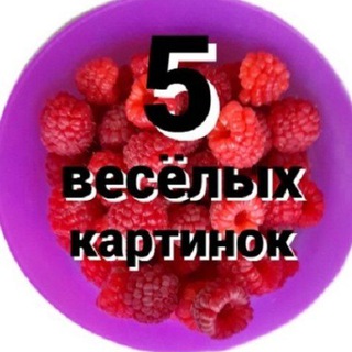 Telegram profile photo for 5 ВЕСЁЛЫХ КАРТИНОК