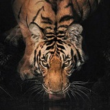 Telegram profile photo for 7 . SH