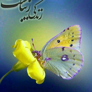 Telegram profile photo for آلبوم خاطرات حاج محمودلو