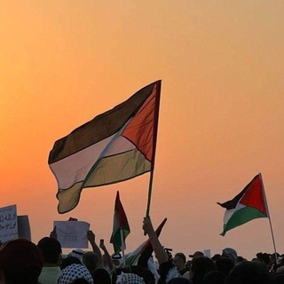 Telegram profile photo for نبض العرين🤍.