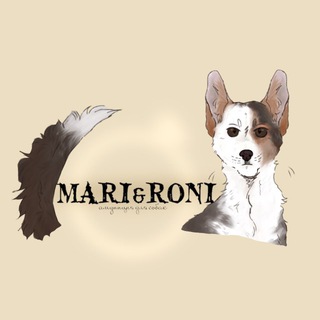 Telegram profile photo for Mari&Roni||магазин аммуниции