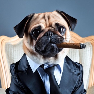 Telegram profile photo for Shizikshop