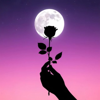 Telegram profile photo for 福建抱月楼