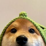 Telegram profile photo for $lou ~ portal