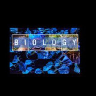 Telegram profile photo for 23AL EM Biology Essay Booster