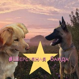 Telegram profile photo for 💘🐶Шᴇᴩᴄᴛянᴀя бᴀндᴀ🐶💘