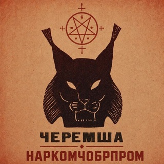 Telegram profile photo for Совѣтцкiй панкъ убiйца КироVa