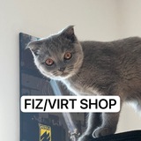 Telegram profile photo for FLAIS NUMBERs