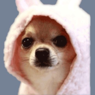 Telegram profile photo for мемоз головного мозга