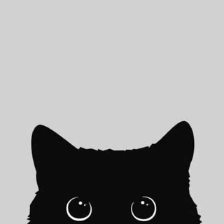 Telegram profile photo for Odd