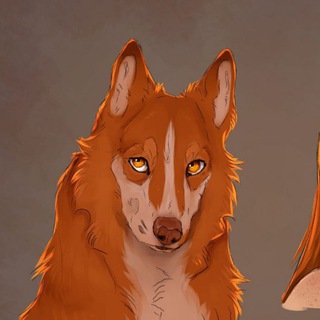 Telegram profile photo for Robusta