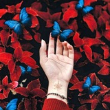 Telegram profile photo for 🦋⚘keçik|کچێک⚘🦋