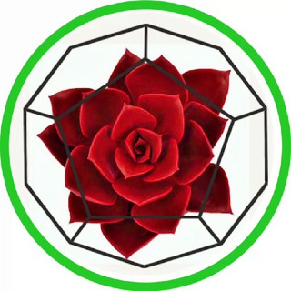 Telegram profile photo for Флорариумы Flora-Glass