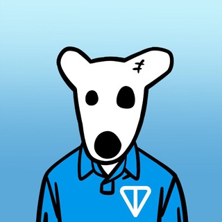 Telegram profile photo for NFT NEWS