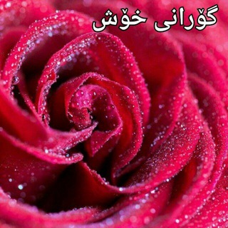 Telegram profile photo for گۆرانــــــــی خۆش 😍