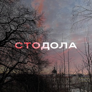 Telegram profile photo for стодола
