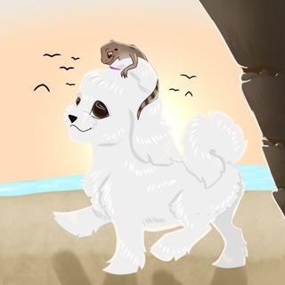 Telegram profile photo for Болонка на Мальте ’ 𝓢𝓲𝓵𝓿𝓲𝓪