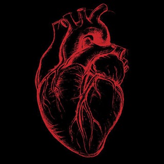 Telegram profile photo for Anatomy world 🫀