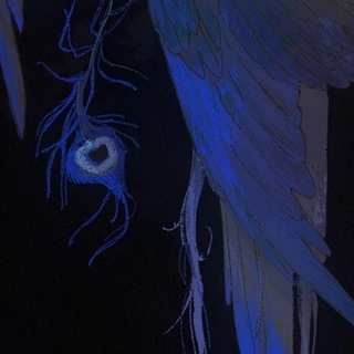 Telegram profile photo for mrnmrn