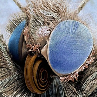 Telegram profile photo for SciKids
