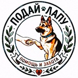 Telegram profile photo for « Подай лапу » Пушкино МО