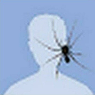 Telegram profile photo for Λ έβπ πΎππππΎπππΌ.
