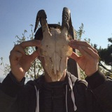 Telegram profile photo for Nejat’s (NOT) Financial Advice (NFA)