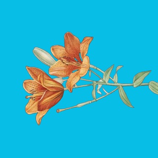 Telegram profile photo for 🍂 Outcast – Get Payments