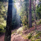 Telegram profile photo for Outdoorsman. 🥾🏴