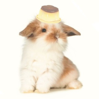 Telegram profile photo for рисунок невышал