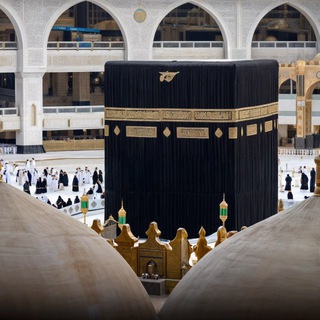 Telegram profile photo for تلاوات الحَرَم | فوائد