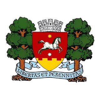 Telegram profile photo for Primăria municipiului Orhei