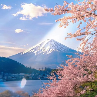 Telegram profile photo for 日本大阪東京外約 #嫖娼櫻花妹