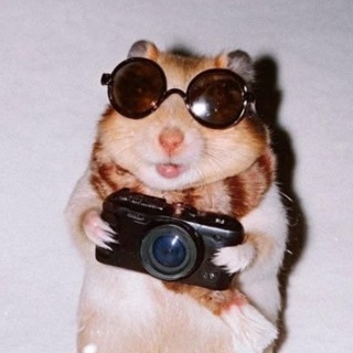Telegram profile photo for заметки