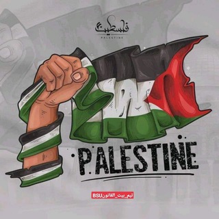 Telegram profile photo for ريكوردات الفرقه الرابعه 💽⚖️
