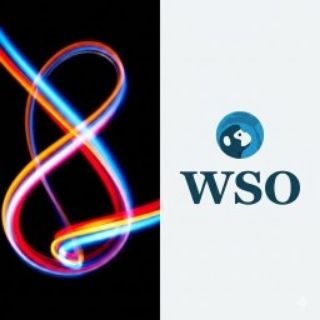 Telegram profile photo for WSO Courses