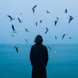 Telegram profile photo for خونهی آبی