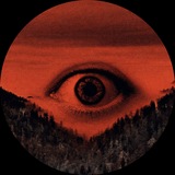Telegram profile photo for rekt it